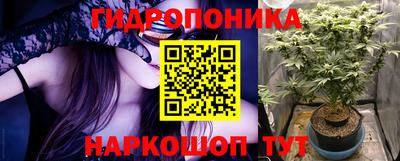 меф Гатчина