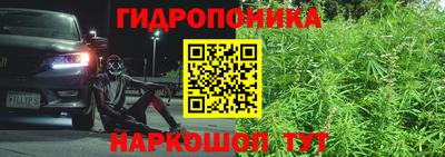 a pvp Гай