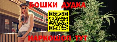 меф Гатчина