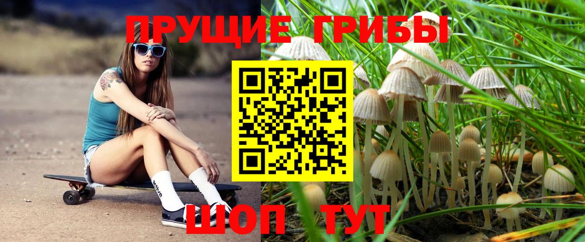 Орехово-Зуево  где купить наркоту  Вход с VPN  Галлюциногенные грибы Magic Shrooms 