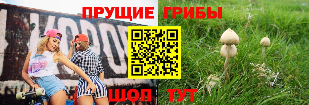 Псилоцибиновые грибы Psilocybine cubensis Орехово-Зуево