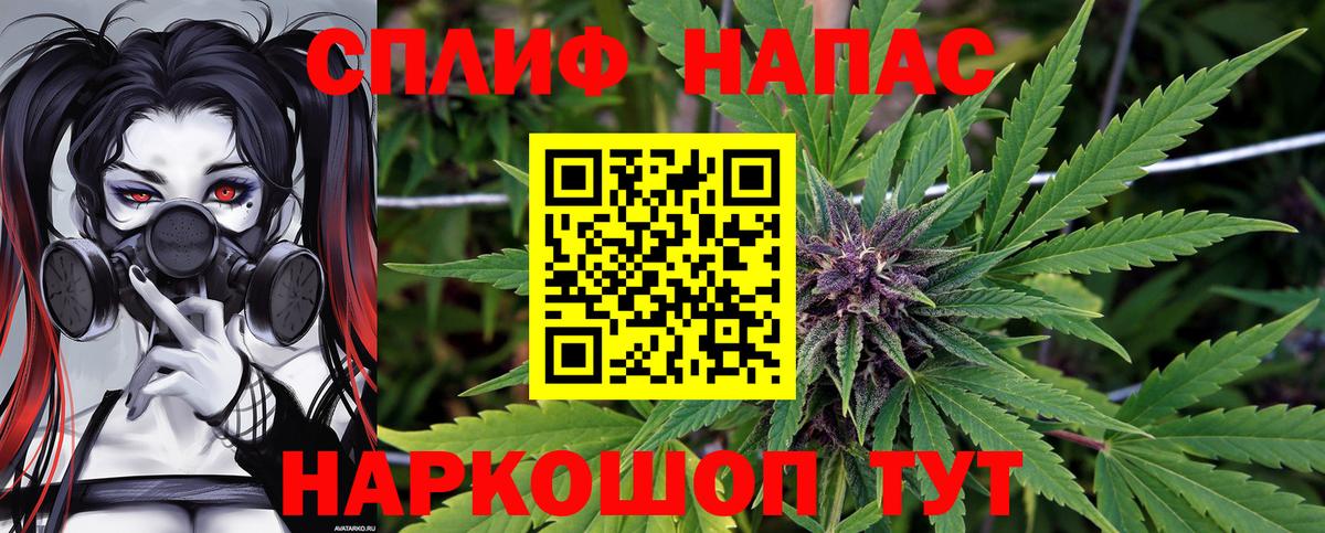 Каннабис план Орехово-Зуево